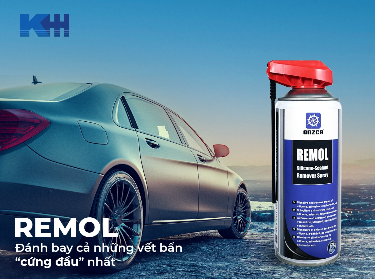 Vệ sinh ô tô cùng REMOL